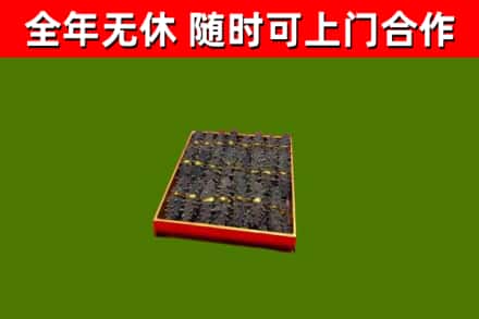 黑龙江回收海参